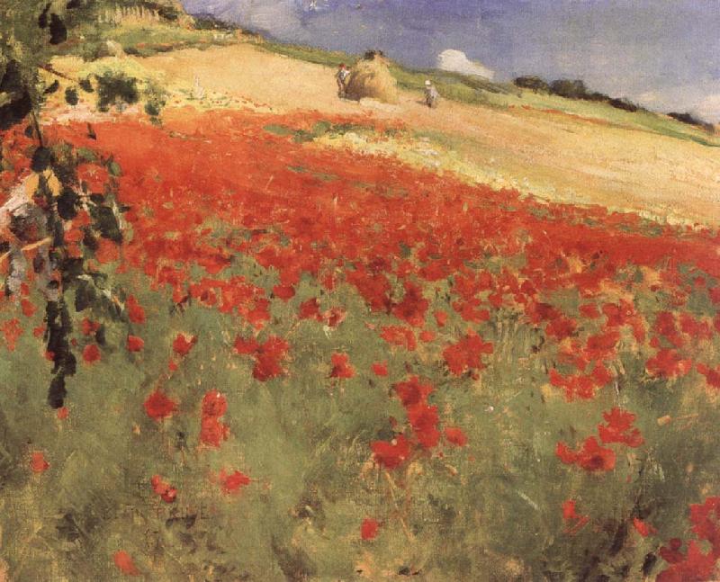 William blair bruce Landscape with Poppies